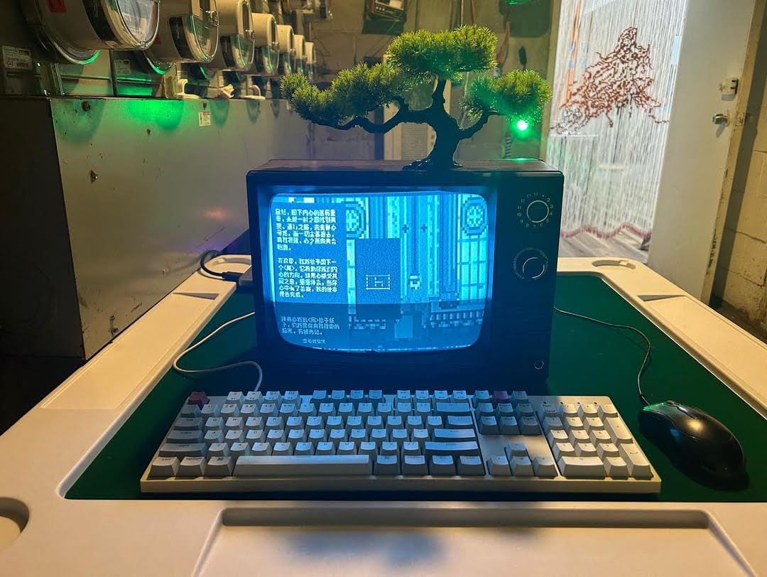 The Software Station Hosting 算命先生 (Mister Destiny-Reader).